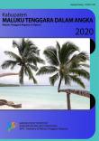 Maluku Tenggara Regency In Figures 2020