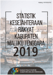 Welfare Statistics of Maluku Tenggara Regency 2019